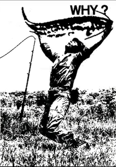 Schwarz-Weiß Grafik / Meme
Eine Person mit leidendem Gesichtsausdruck hält einen großen Fisch hoch, während sie auf einem grasbewachsenen Feld steht bzw. dabei ist auf die Knie zu sinken. Das Bild zeigt eine fette Bildunterschrift darüber, die fragt: "WHY?" In großen Buchstaben. Daneben eine Angelrute.